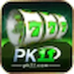 PK11 game
